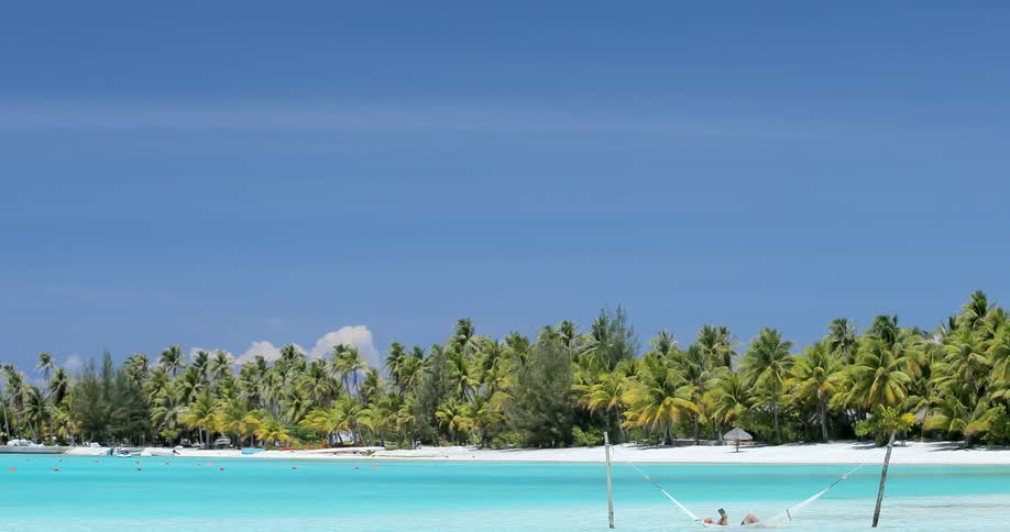 A hammock on the beach next to blue water
