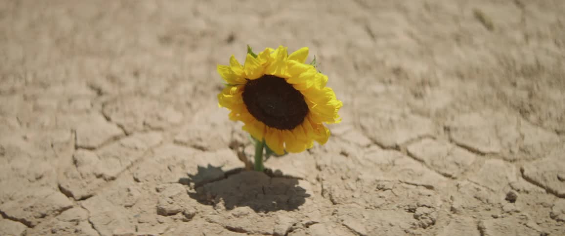 Man In The Desert
