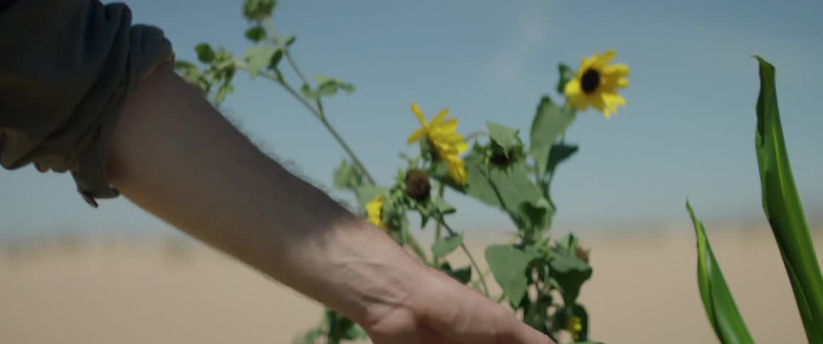 Man In The Desert