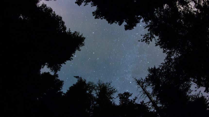 Time lapse view of a starry night is displayed