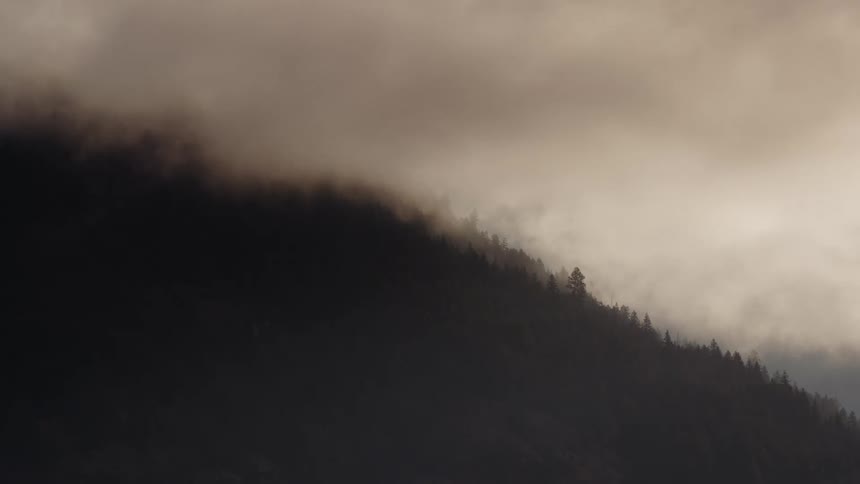 Landscape of mountain forest in fog
