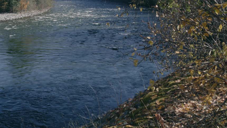 Water sparkles in the sunlight as it flows in the river as leaves on trees move in the breeze