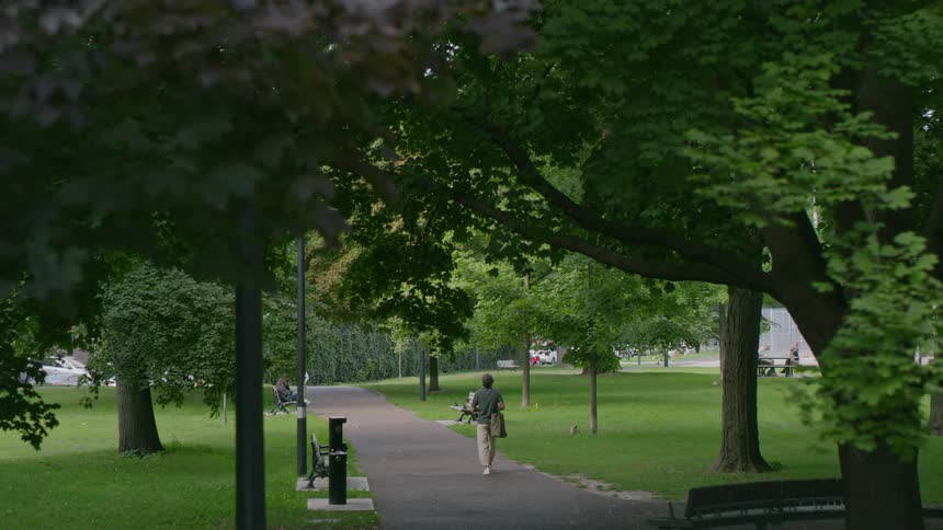A person walking through a park on a sidewalk with tall trees along the walkway