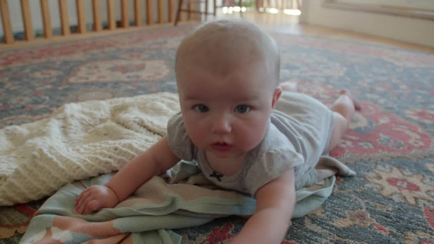 A baby is lying on a blanket on a rug moving their arms and looking at a stuffed animal