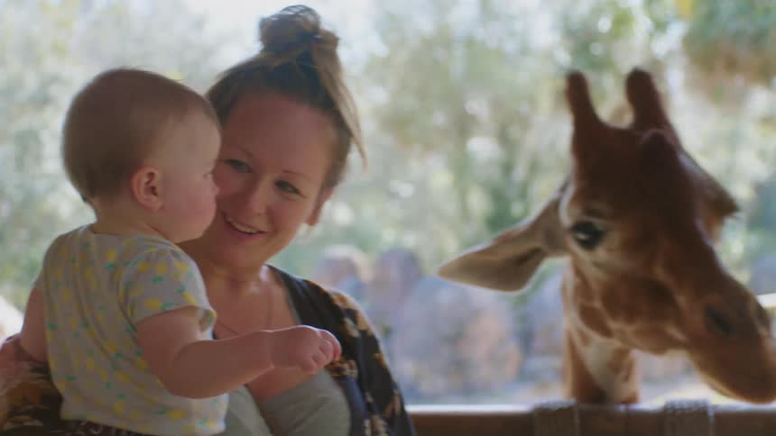 A woman gives her child a leafy plant to feed to giraffes