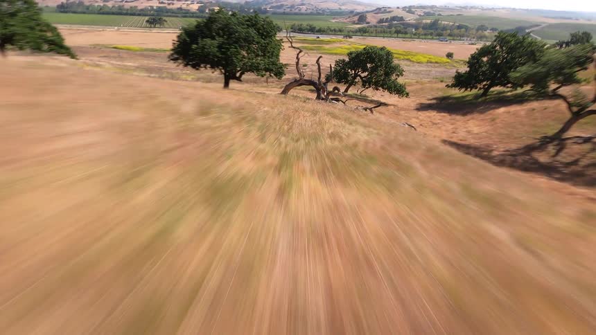 FPV drone shot rushing through trees in a dry landscape at midday