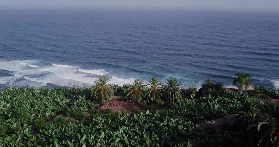 An aerial panorama of ocean waves crashing against the shore of a tropical island
