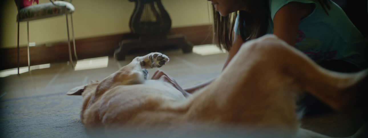 A young girl sitting on the floor of her homes living room scratches her pet dogs belly