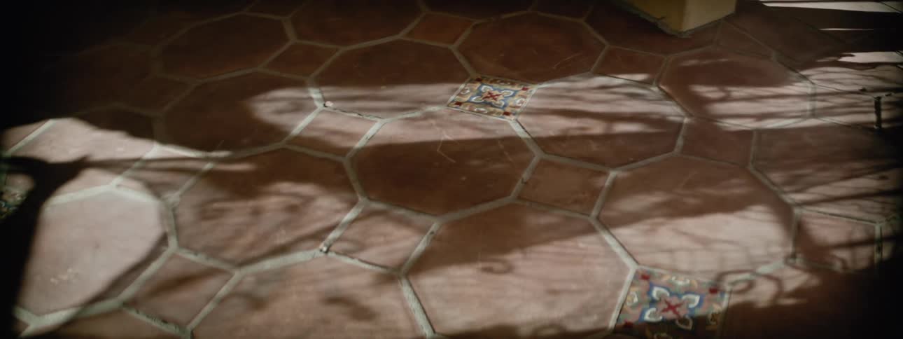 Shadows of people dancing on red stone floor