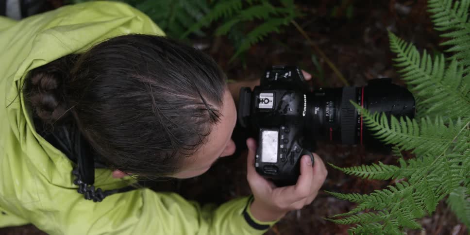 A female photographer taking a closeup photo of a fern