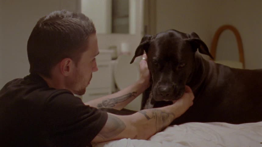 A man scratches his dogs neck while petting it