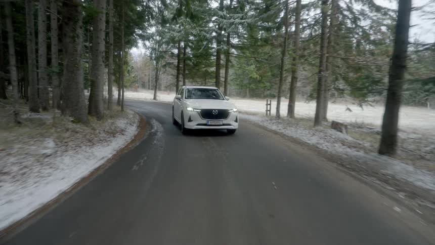 White car driving on road through snowy forest