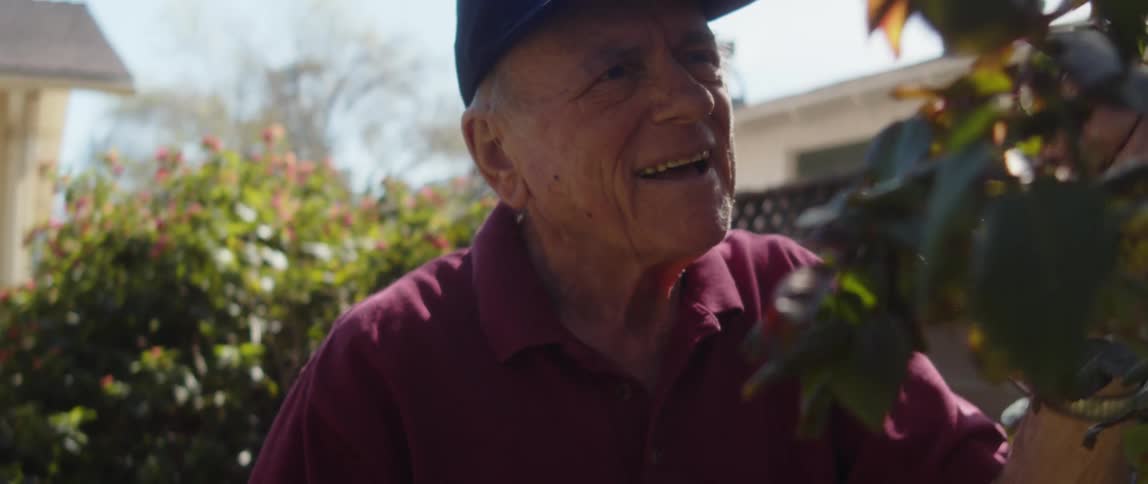 A man is pruning a bush in his yard
