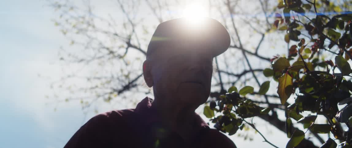 An older man standing in front of a plant using clippers to trim a plant in front of him