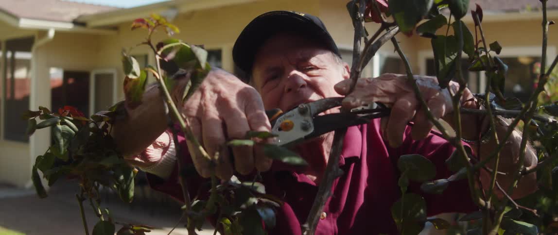 An elderly man trims tree branches outside of his house