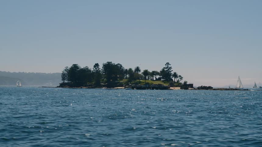 An island with trees on it surrounded by sailboats on the rough waters