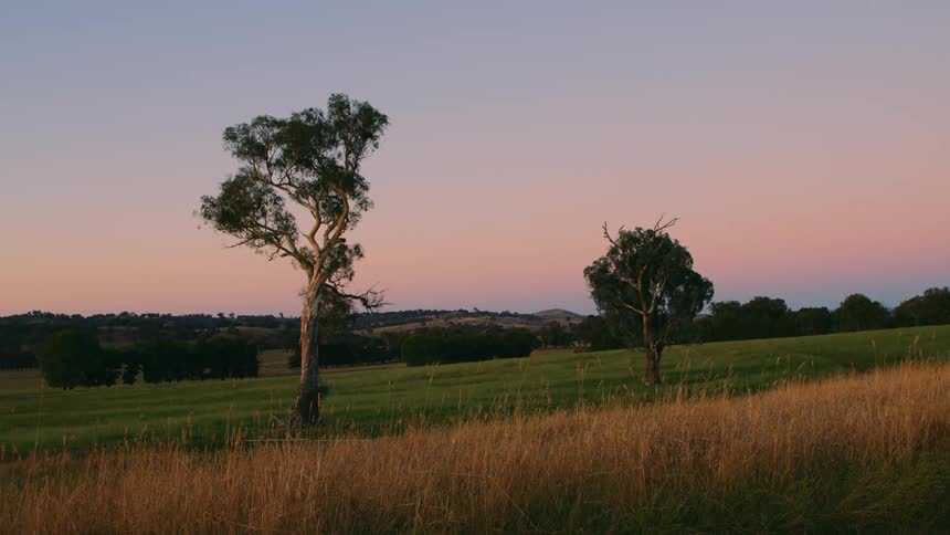 The sun is setting in the rural landscape