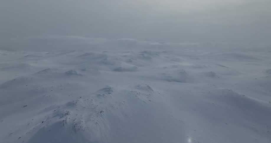 Fog is covering the arctic landscape