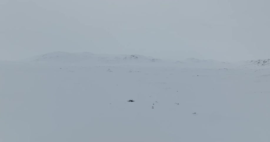 A heavy blanket of snow covers a mountain range and field