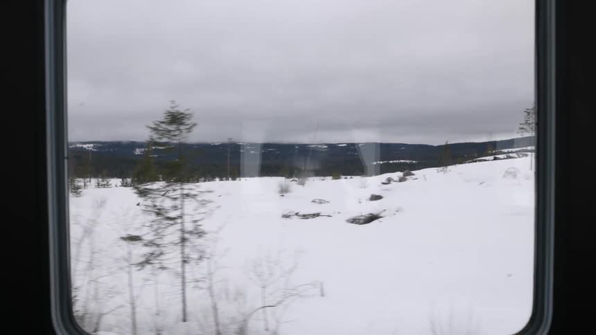 A snowcovered winter countryside and forest filmed through the window of a moving train