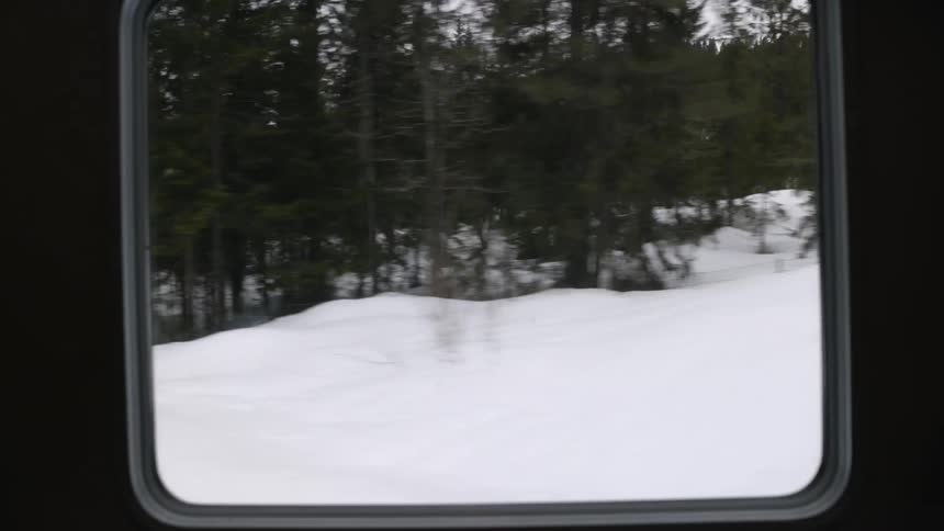 A train window looking out onto snow covered grounds with pine trees alongside