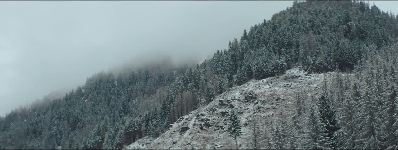 Aerial view of trees and misty mountains during winter season