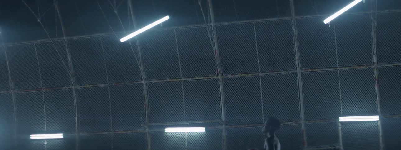The Cage