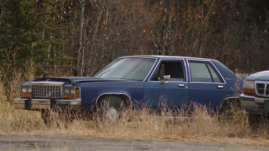 Cars are parked off a dirt road in the weeds near the woods