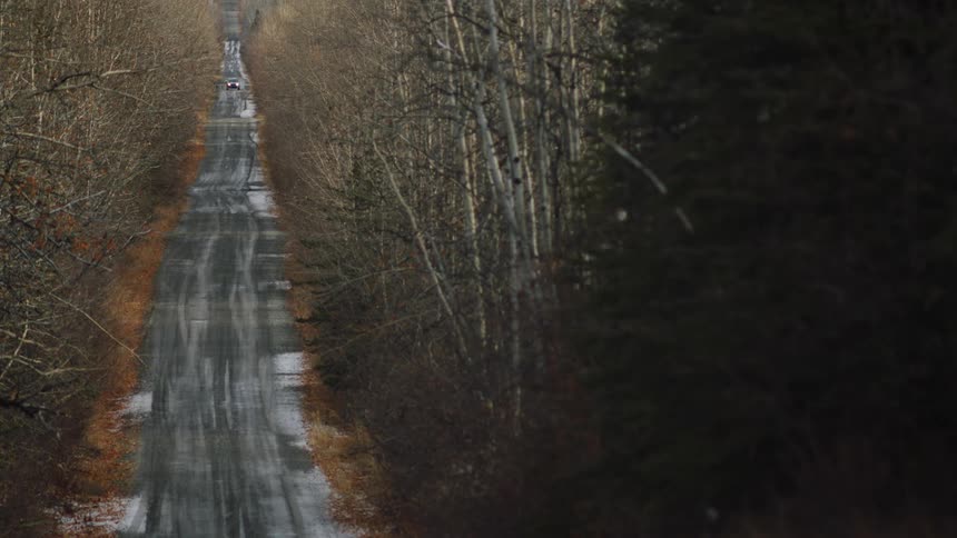 A vehicle drives down a narrow road through a barren forest