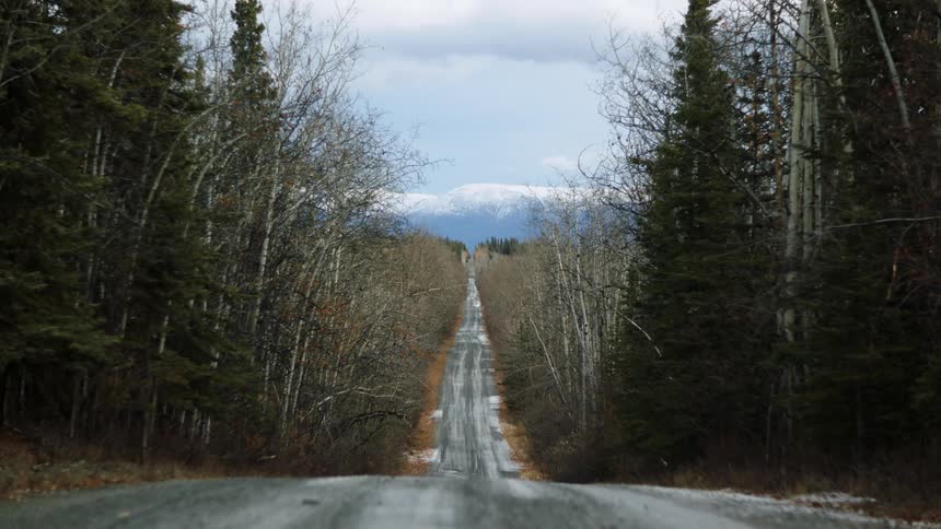 A narrow road runs past an open field and forest