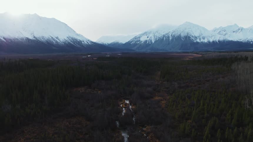 An aerial view of a grassy forest landscape with a stream leading to snowcovered mountains in the distance