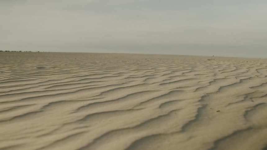 Panoramic view of sand dunes on the desert at daytime