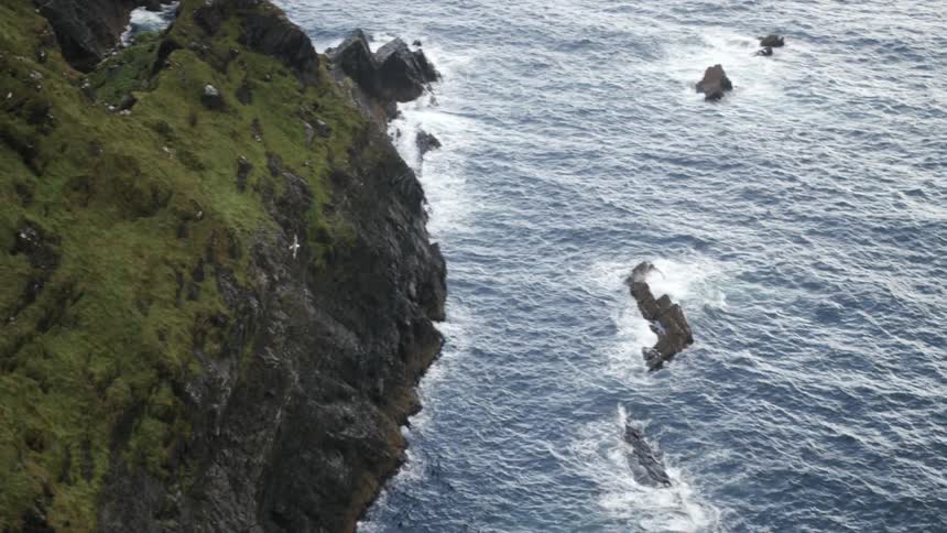 Birds fly off shore