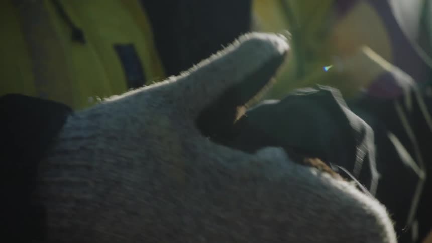 Man with yellow and dark blue cat wears wooly gloves