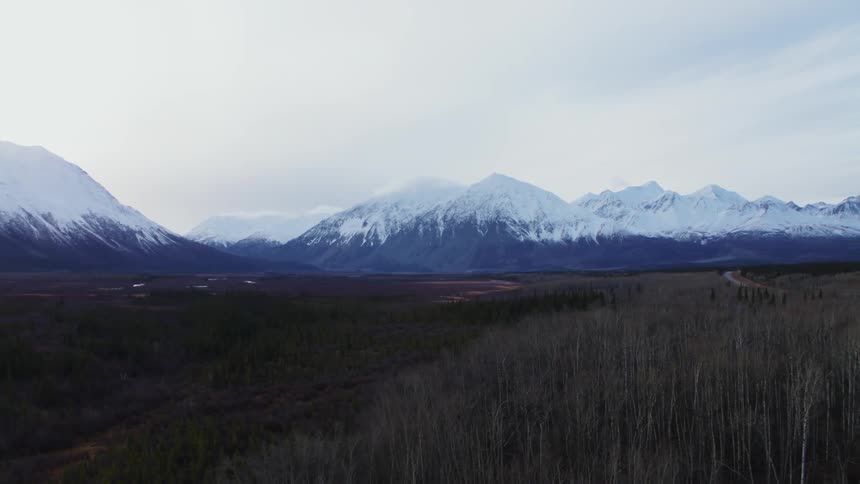 Landscape of snowy mountain range and field