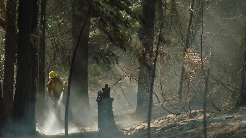 A firefighter putting out a fire in a forest