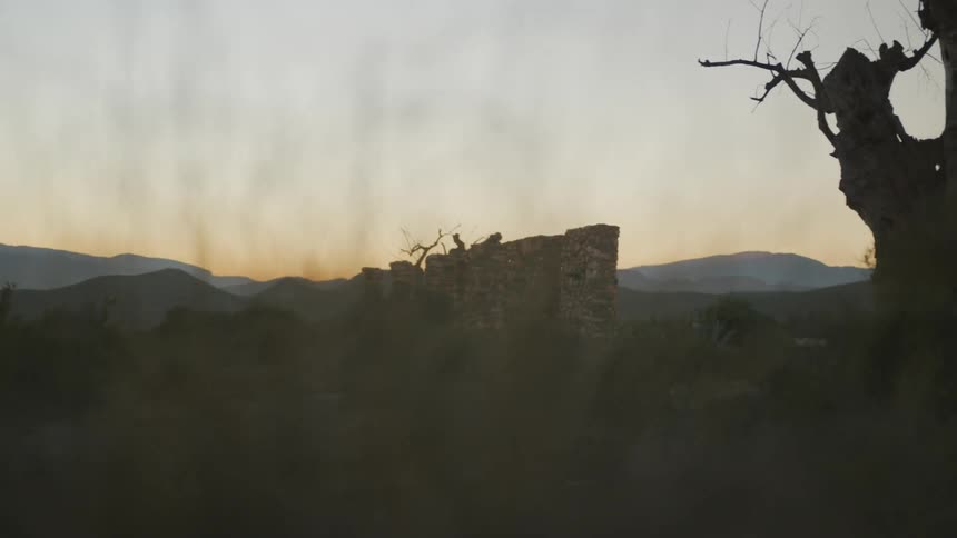 Ruins of old sections of wall in the desert made of stone are standing among plants and vegetation with mountains in the distance