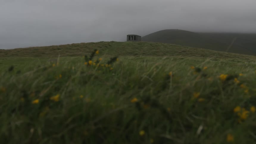 Tall grass blows in the breezebunker on a hill