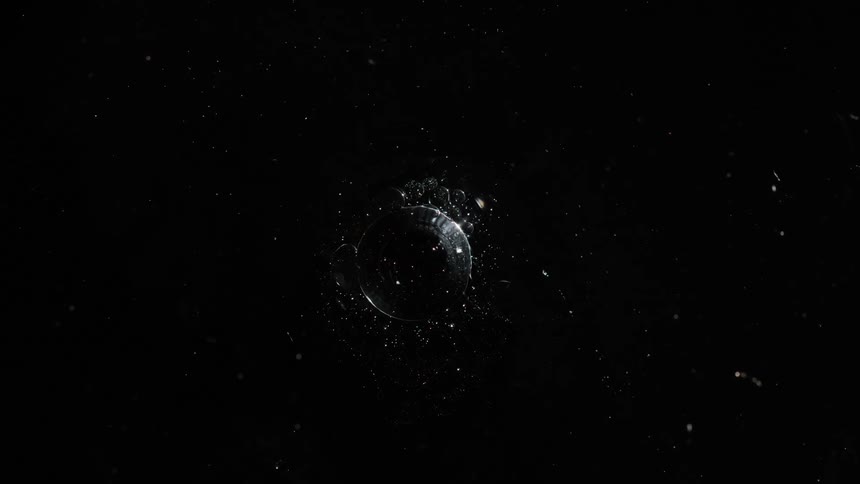 Dark liquid with bubbles in it and a circular middle with particles flowing around