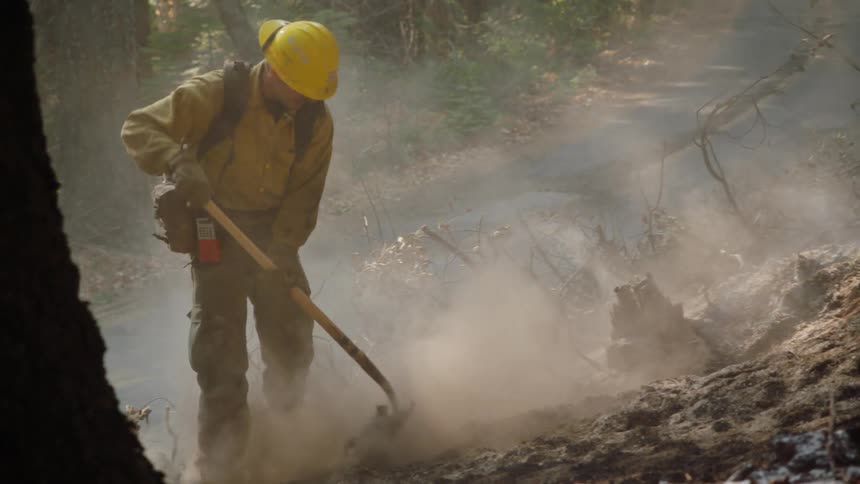 Work crew digs at smoking dirt in forest