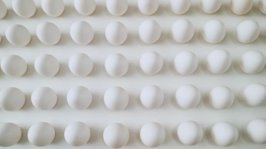 A camera pans over a grid of eggs and pulls back to show all the eggs