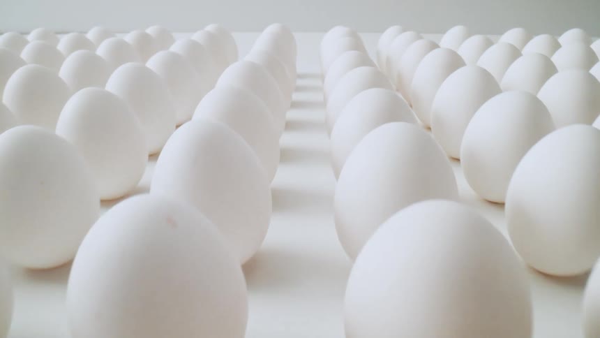 Overview of a group of white eggs standing upright in an organized grid