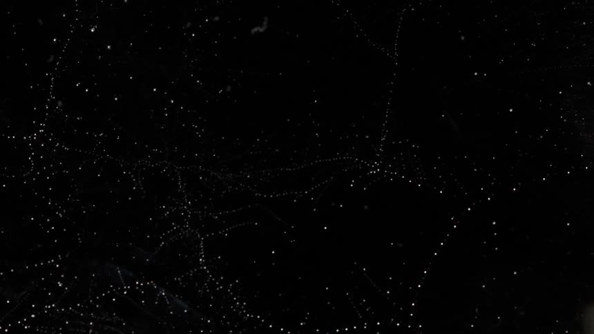 Stars at night against a black sky moving forward