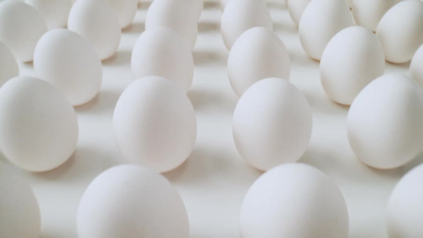 Overview of a group of white eggs standing upright on a symmetric grid against a white background