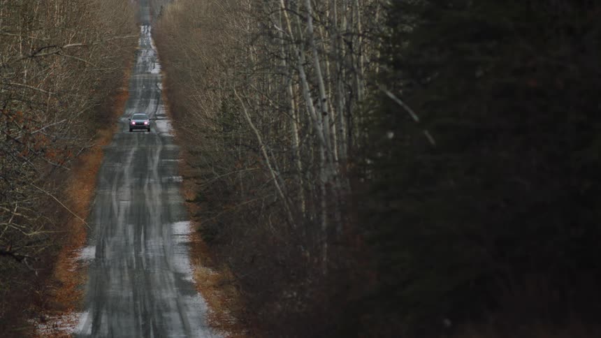 Car drives along icy road through mostly leafless trees in woods