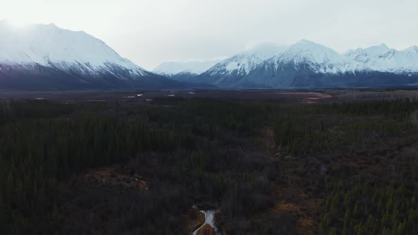 Snowy mountain peaks and a forest with dark trees in the foreground