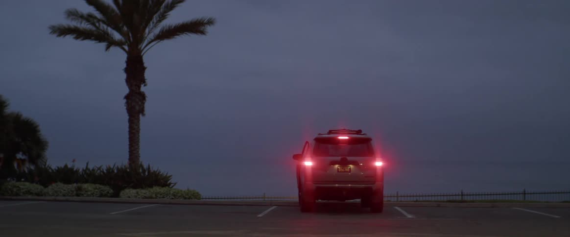 An sun drives up to and parks in a parking space near a palm tree a man and a young boy get out of the car