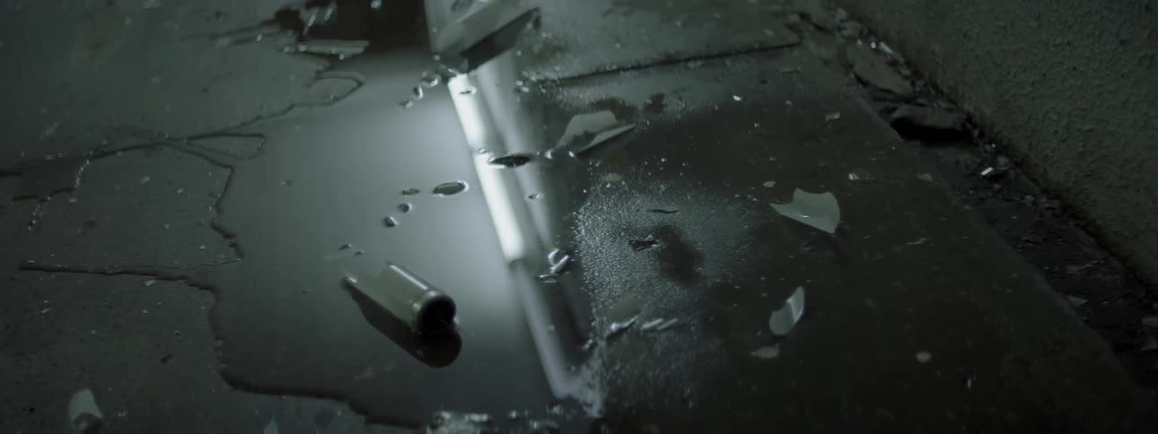 Broken light bulbs in a puddle