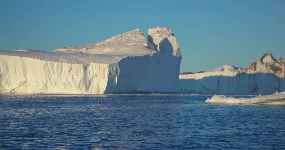 The sun shines brightly as a seagull flies over pieces of ice floating among icebergs in the water under a clear blue sky