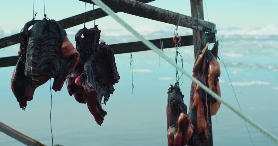 Meat hanging from cords on a wooden frame outside in the daylight